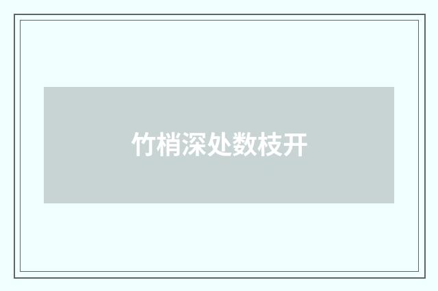 竹梢深处数枝开