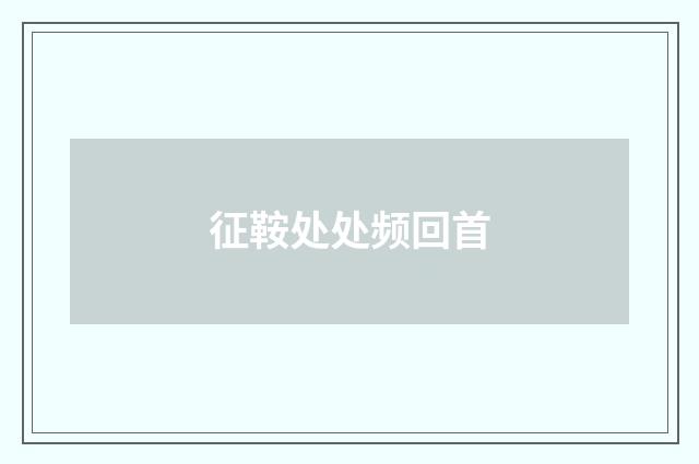 征鞍处处频回首