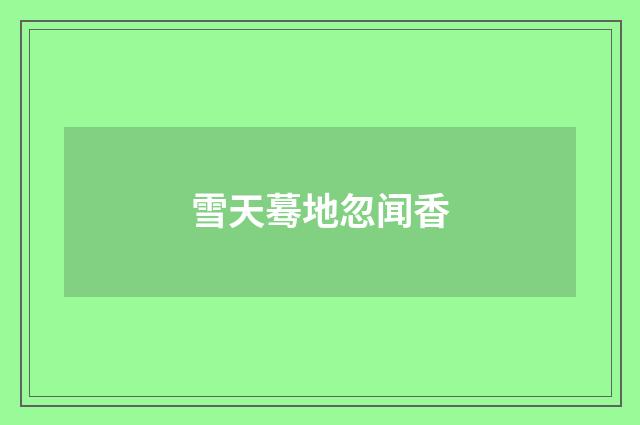 雪天蓦地忽闻香