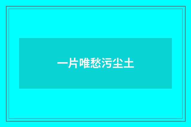一片唯愁污尘土