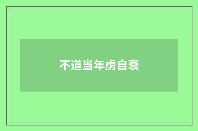 不道当年虏自衰