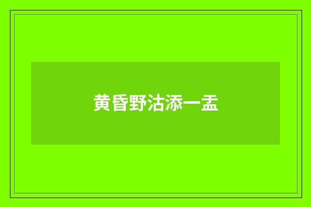 黄昏野沽添一盂