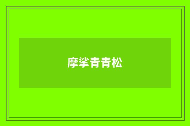 摩挲青青松