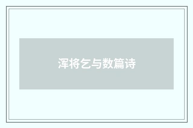 浑将乞与数篇诗