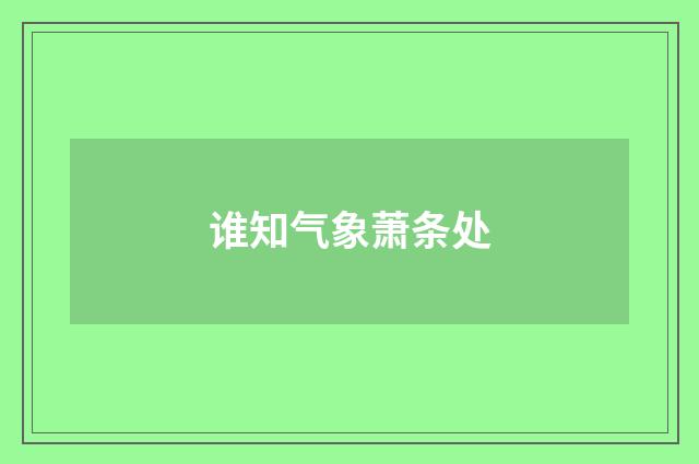 谁知气象萧条处