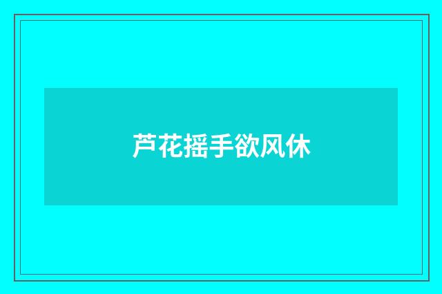 芦花摇手欲风休