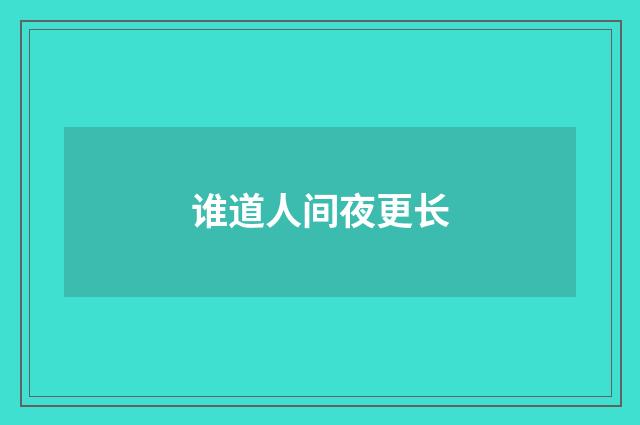 谁道人间夜更长