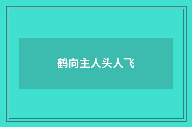 鹤向主人头人飞