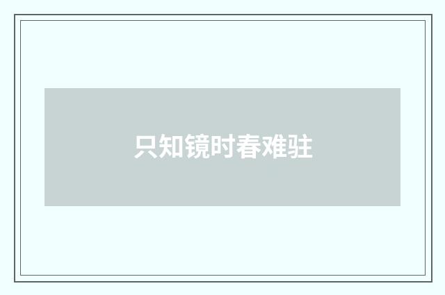 只知镜时春难驻