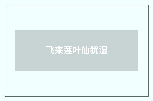 飞来莲叶仙犹湿