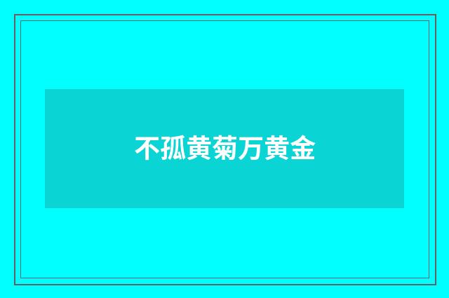 不孤黄菊万黄金