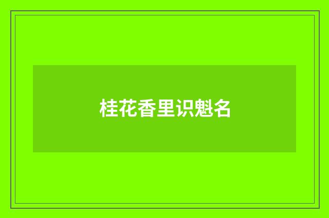 桂花香里识魁名