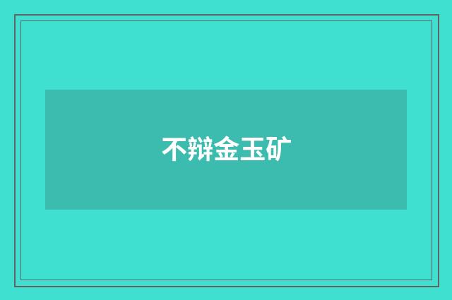 不辩金玉矿