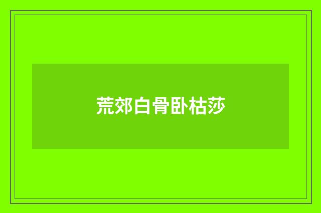 荒郊白骨卧枯莎