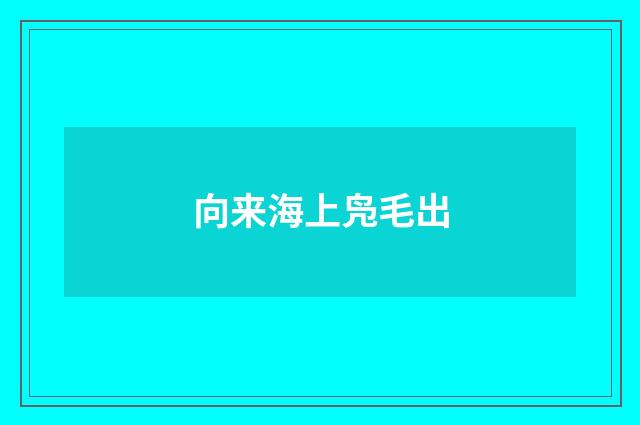 向来海上凫毛出