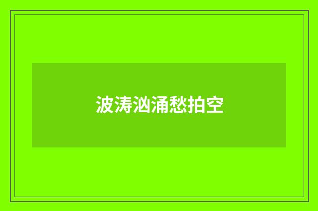 波涛汹涌愁拍空