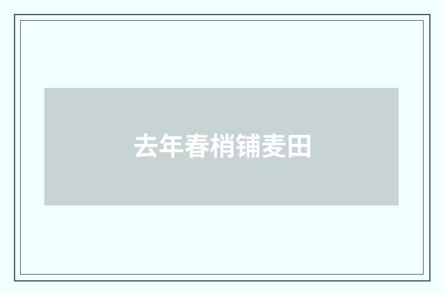 去年春梢铺麦田