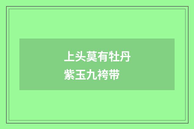 上头莫有牡丹紫玉九袴带
