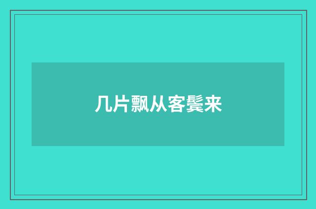 几片飘从客鬓来