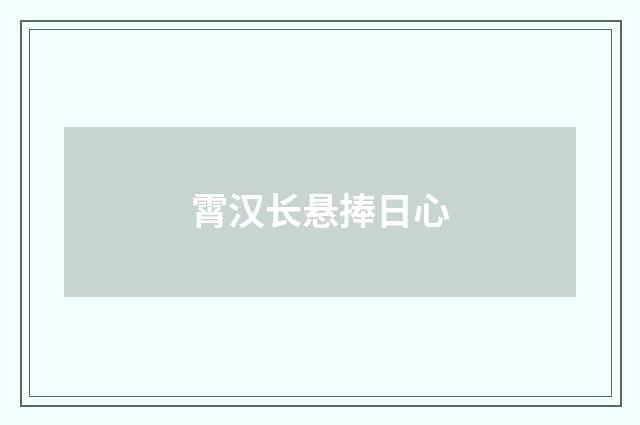 霄汉长悬捧日心