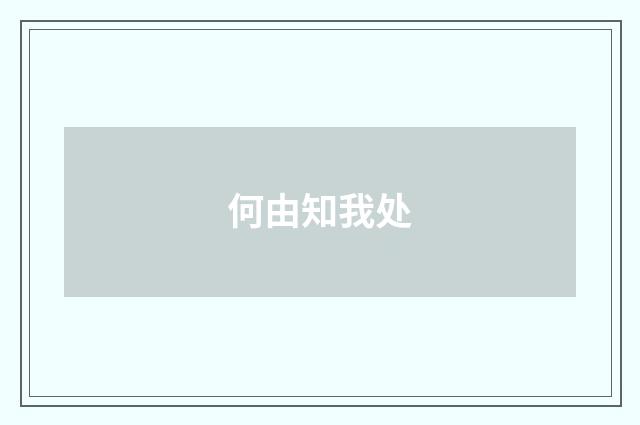 何由知我处