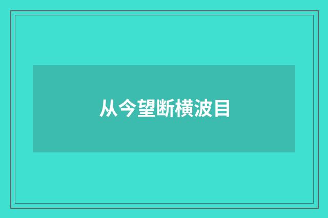 从今望断横波目