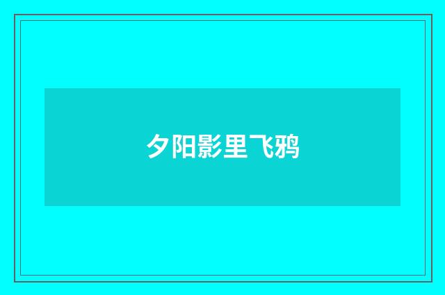 夕阳影里飞鸦