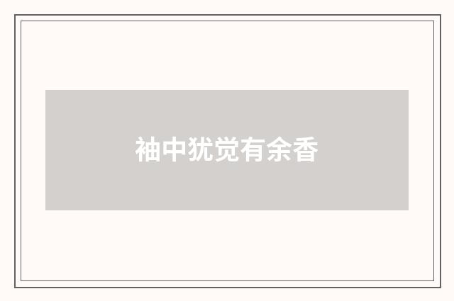 袖中犹觉有余香