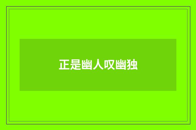 正是幽人叹幽独
