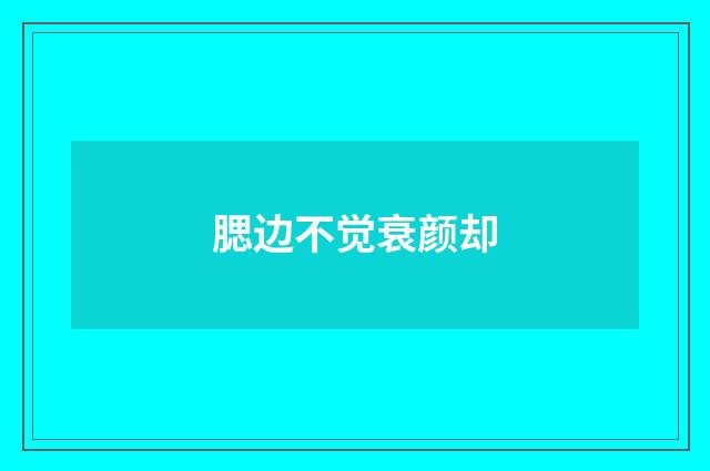 腮边不觉衰颜却