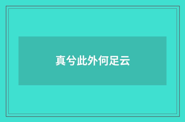 真兮此外何足云