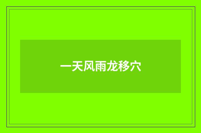 一天风雨龙移穴