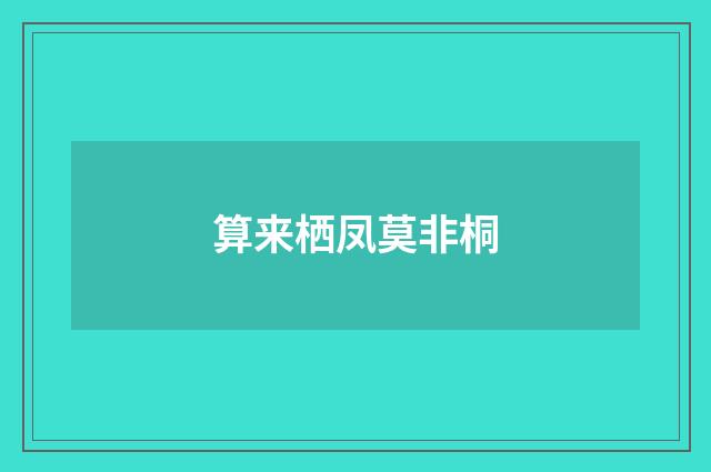 算来栖凤莫非桐