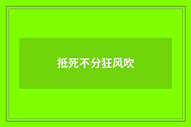 抵死不分狂风吹