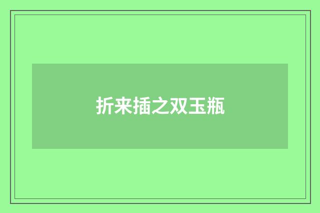 折来插之双玉瓶