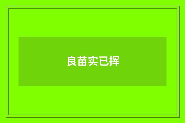良苗实已挥