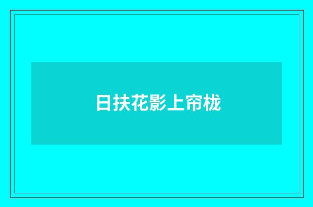 日扶花影上帘栊