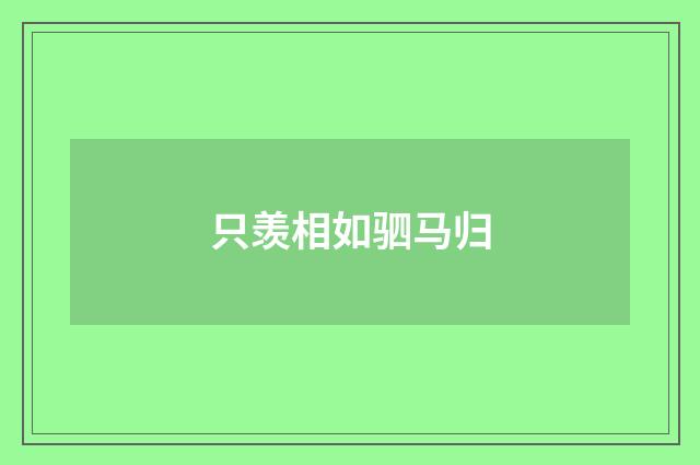 只羡相如驷马归