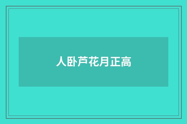 人卧芦花月正高