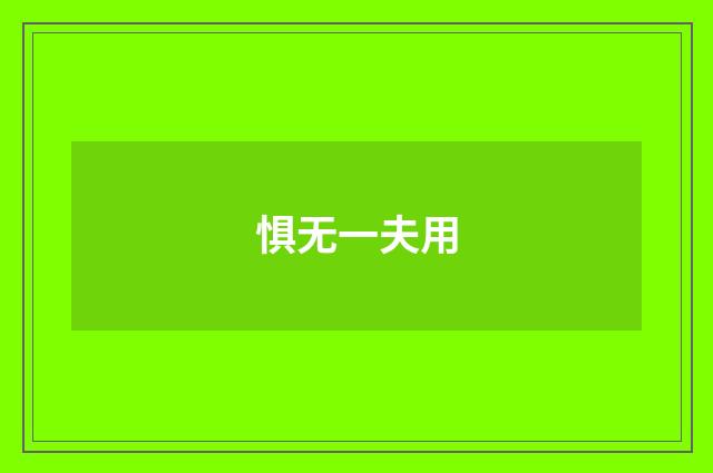 惧无一夫用