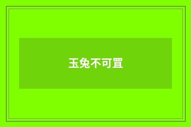 玉兔不可罝