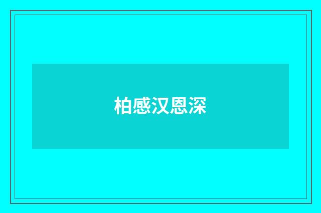柏感汉恩深