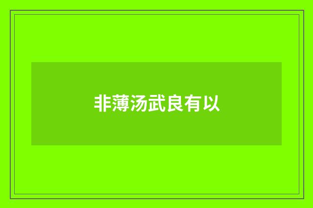 非薄汤武良有以
