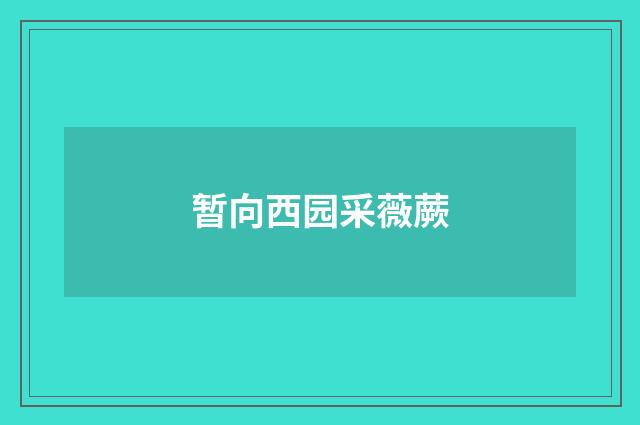 暂向西园采薇蕨