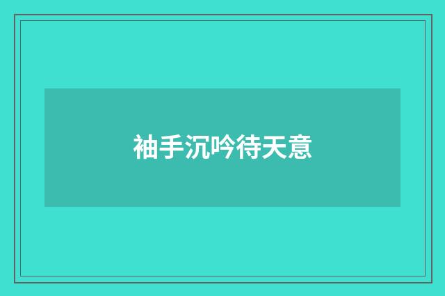 袖手沉吟待天意