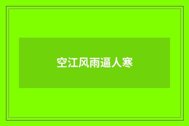 空江风雨逼人寒