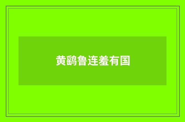 黄鹞鲁连羞有国