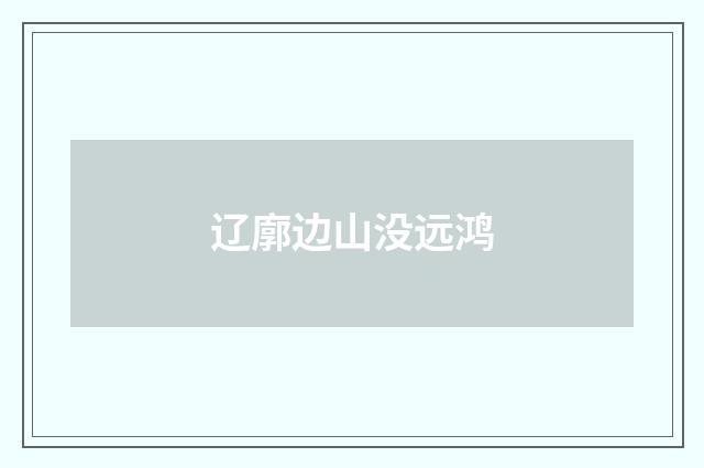 辽廓边山没远鸿