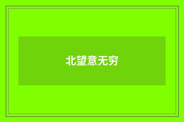 北望意无穷