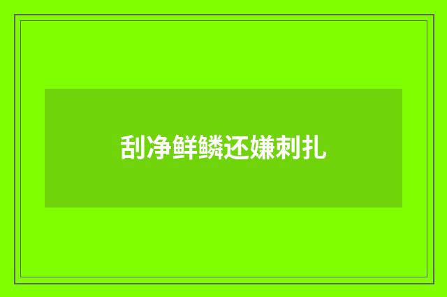 刮净鲜鳞还嫌刺扎